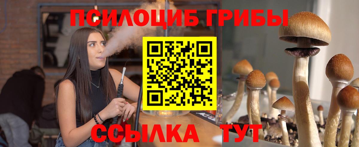 Нижневартовск  Псилоцибиновые грибы MAGIC MUSHROOMS  Вход с VPN 